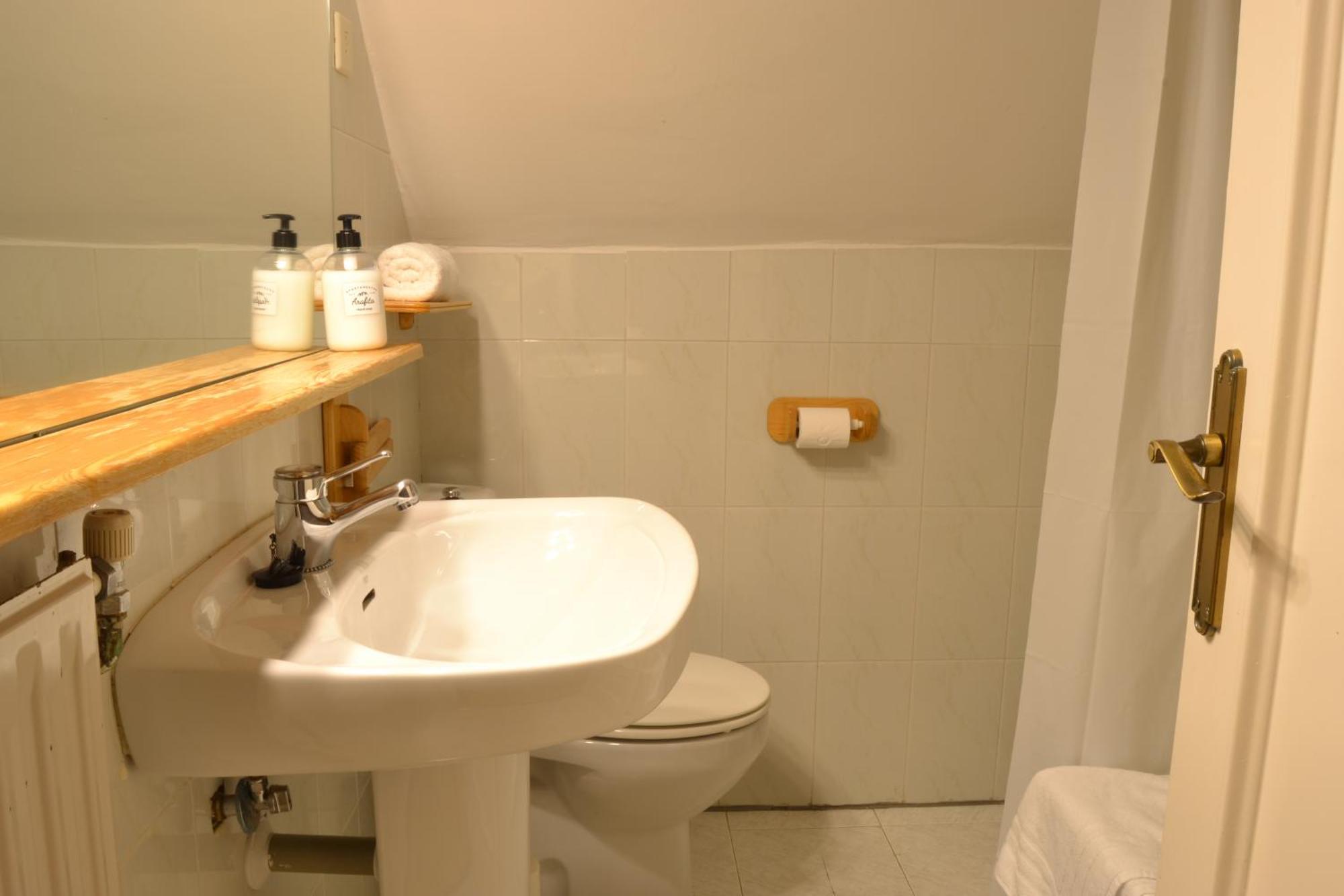 Balaitus Petfriendly - Arafita Apartamentos Sallent de Gállego Dış mekan fotoğraf